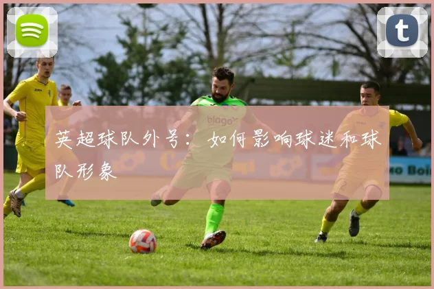 英超球队外号：如何影响球迷和球队形象