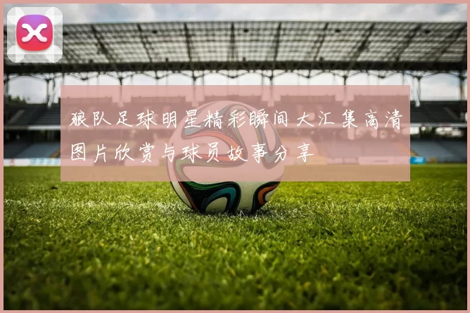 狼队足球明星精彩瞬间大汇集高清图片欣赏与球员故事分享