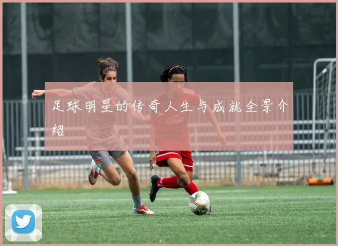 足球明星的传奇人生与成就全景介绍