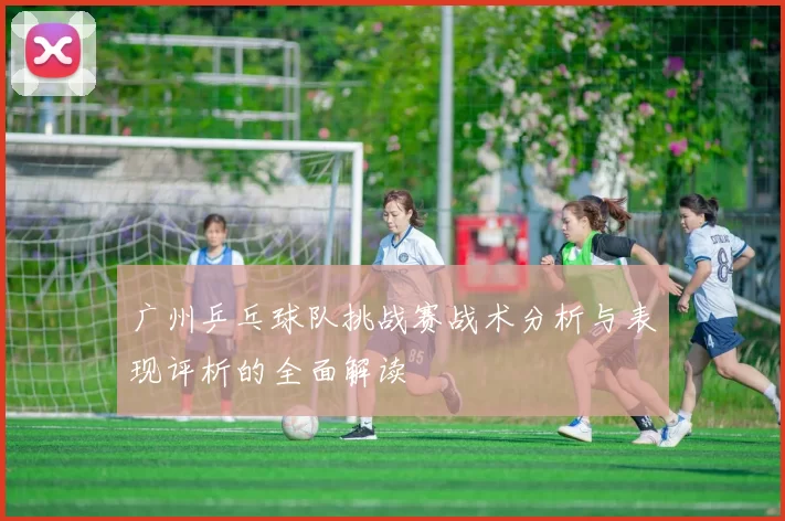 广州乒乓球队挑战赛战术分析与表现评析的全面解读