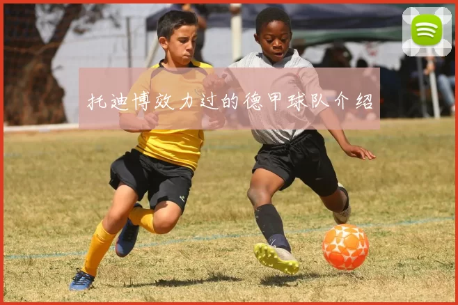 托迪博效力过的德甲球队介绍