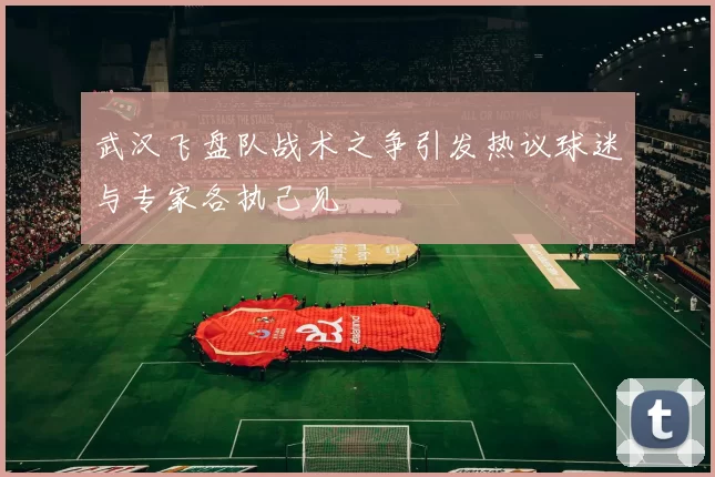 武汉飞盘队战术之争引发热议球迷与专家各执己见