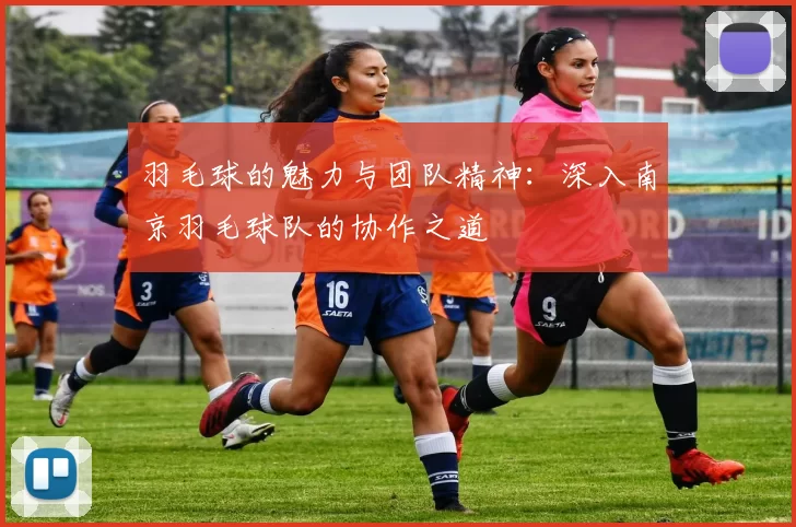 羽毛球的魅力与团队精神：深入南京羽毛球队的协作之道