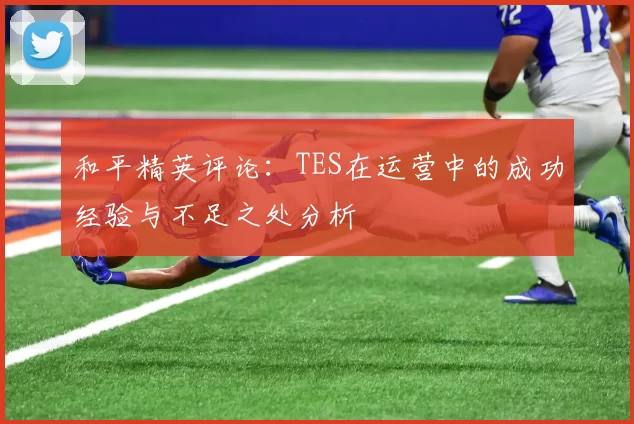和平精英评论：TES在运营中的成功经验与不足之处分析