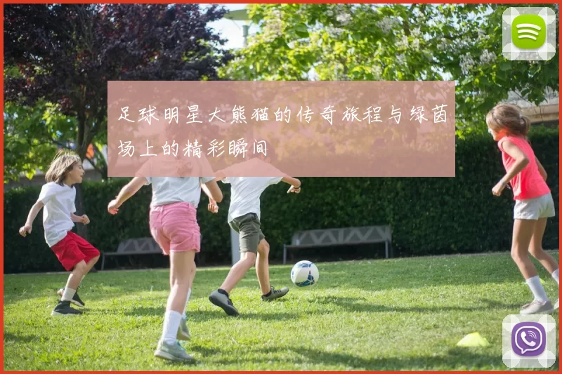 足球明星大熊猫的传奇旅程与绿茵场上的精彩瞬间