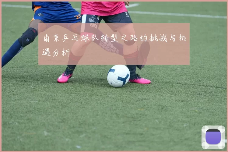 南京乒乓球队转型之路的挑战与机遇分析