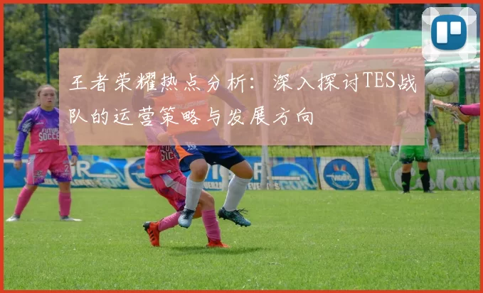 王者荣耀热点分析：深入探讨TES战队的运营策略与发展方向