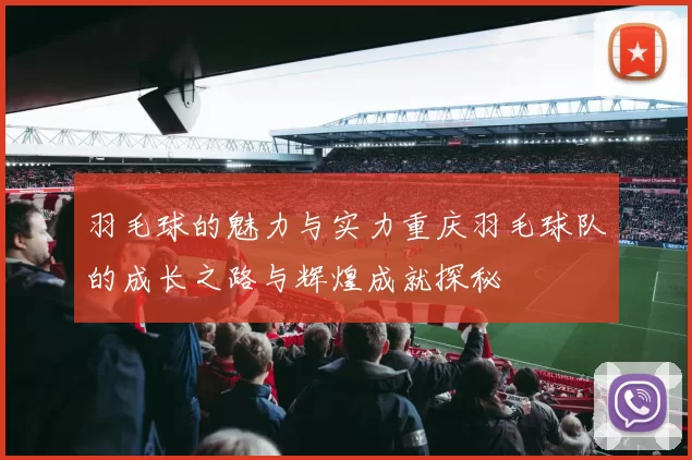 羽毛球的魅力与实力重庆羽毛球队的成长之路与辉煌成就探秘