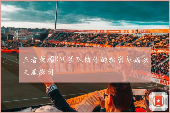 王者荣耀RNG团队协作的秘密与成功之道探讨