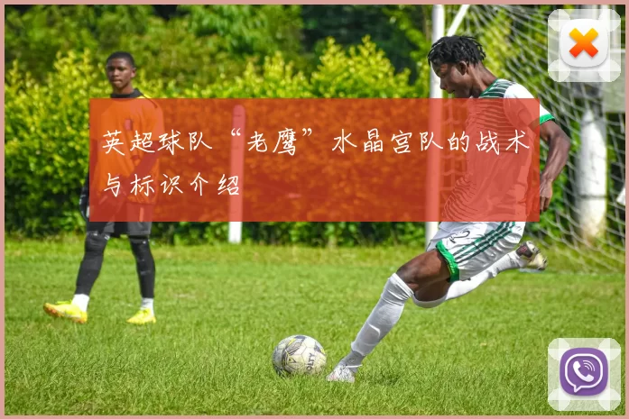 英超球队“老鹰”水晶宫队的战术与标识介绍