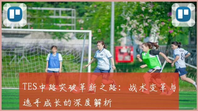 TES中路突破革新之路：战术变革与选手成长的深度解析