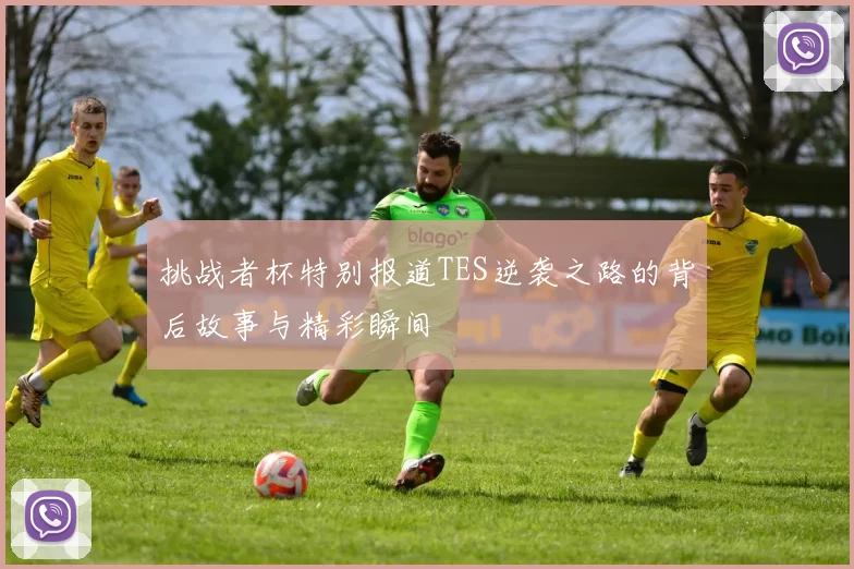 挑战者杯特别报道TES逆袭之路的背后故事与精彩瞬间