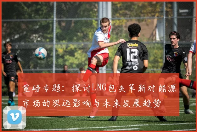 重磅专题：探讨LNG包夹革新对能源市场的深远影响与未来发展趋势