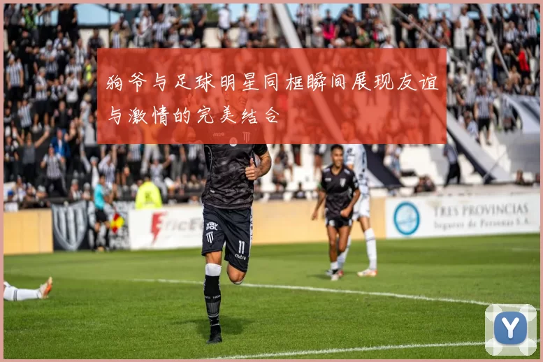 狗爷与足球明星同框瞬间展现友谊与激情的完美结合