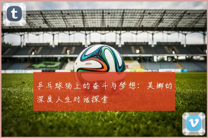 乒乓球场上的奋斗与梦想：吴娜的深度人生对话探索