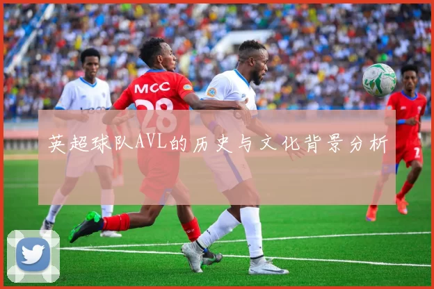 英超球队AVL的历史与文化背景分析