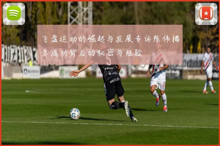 飞盘运动的崛起与发展专访陈伟揭示成功背后的秘密与经验