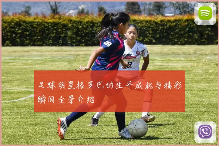足球明星格罗巴的生平成就与精彩瞬间全景介绍