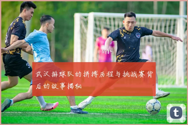 武汉排球队的拼搏历程与挑战赛背后的故事揭秘