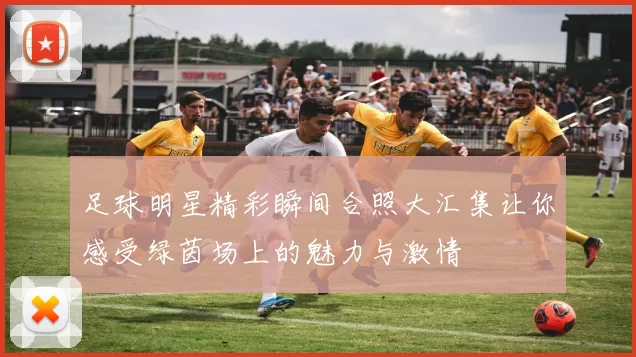 足球明星精彩瞬间合照大汇集让你感受绿茵场上的魅力与激情