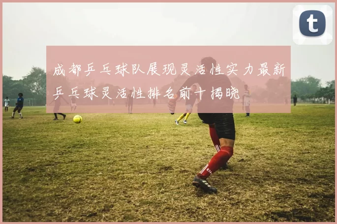 成都乒乓球队展现灵活性实力最新乒乓球灵活性排名前十揭晓