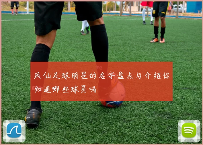 凤仙足球明星的名字盘点与介绍你知道哪些球员吗