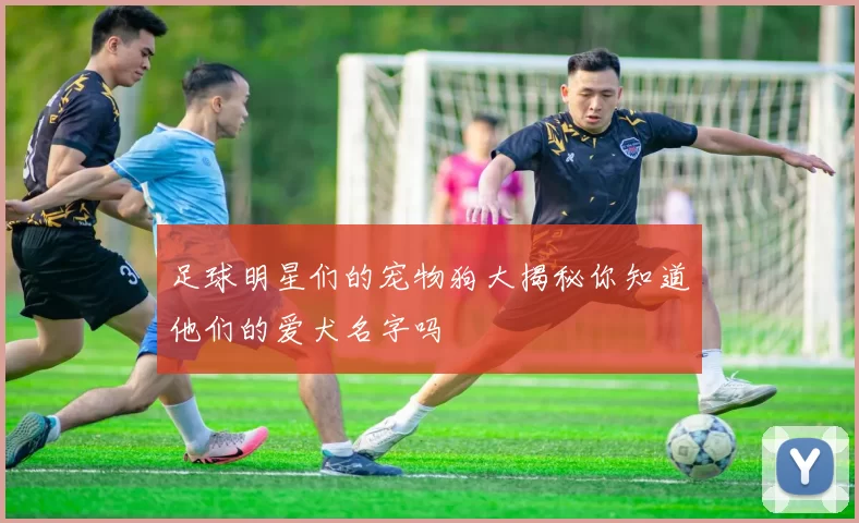 足球明星们的宠物狗大揭秘你知道他们的爱犬名字吗