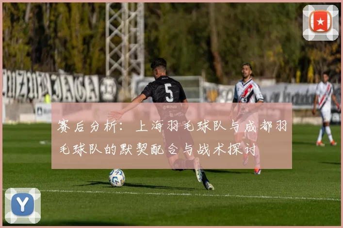 赛后分析：上海羽毛球队与成都羽毛球队的默契配合与战术探讨