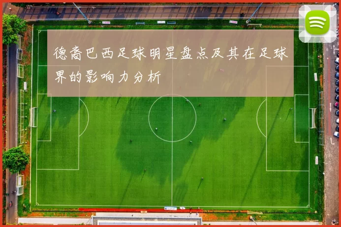 德裔巴西足球明星盘点及其在足球界的影响力分析