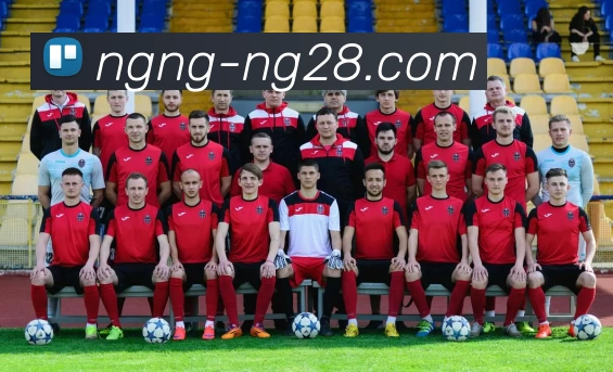 28圈平台生态图